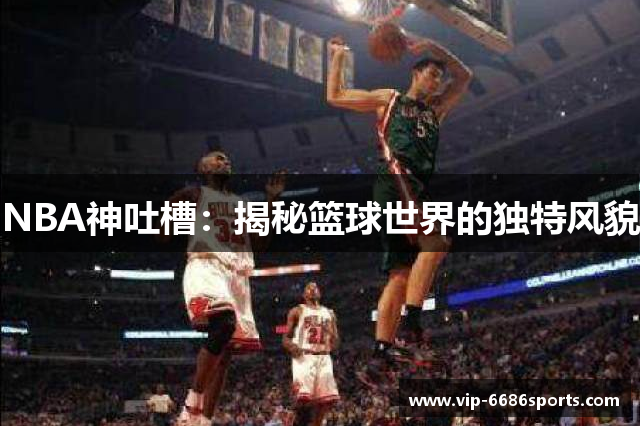 NBA神吐槽：揭秘篮球世界的独特风貌